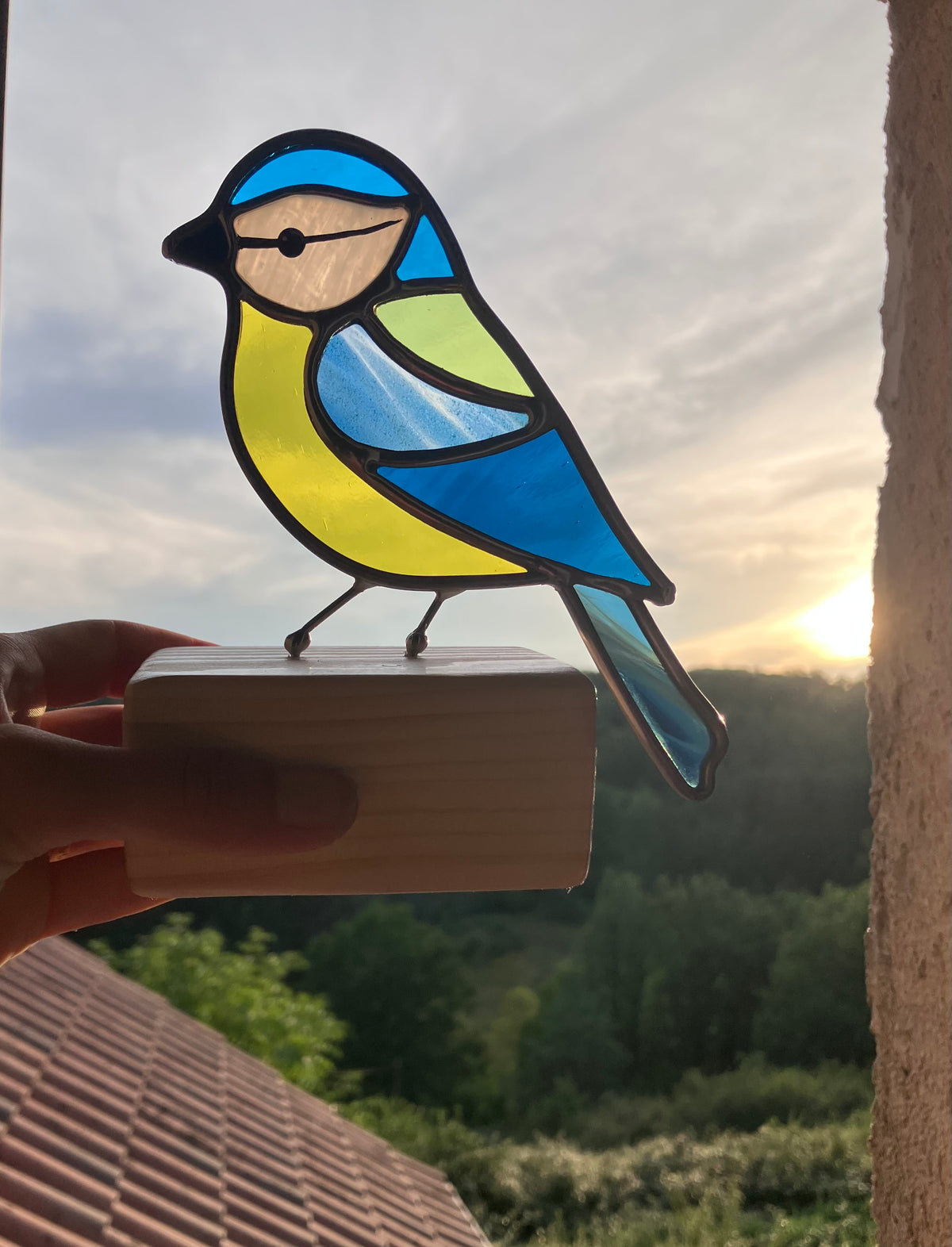 Mésange bleue sur socle