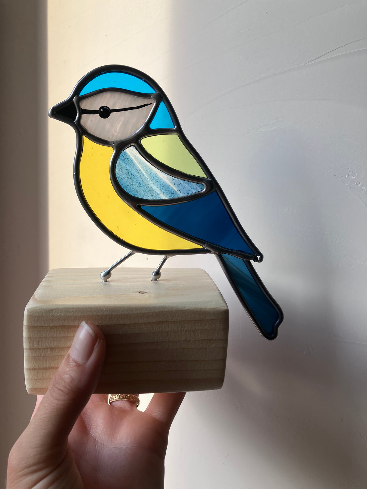 Mésange bleue sur socle