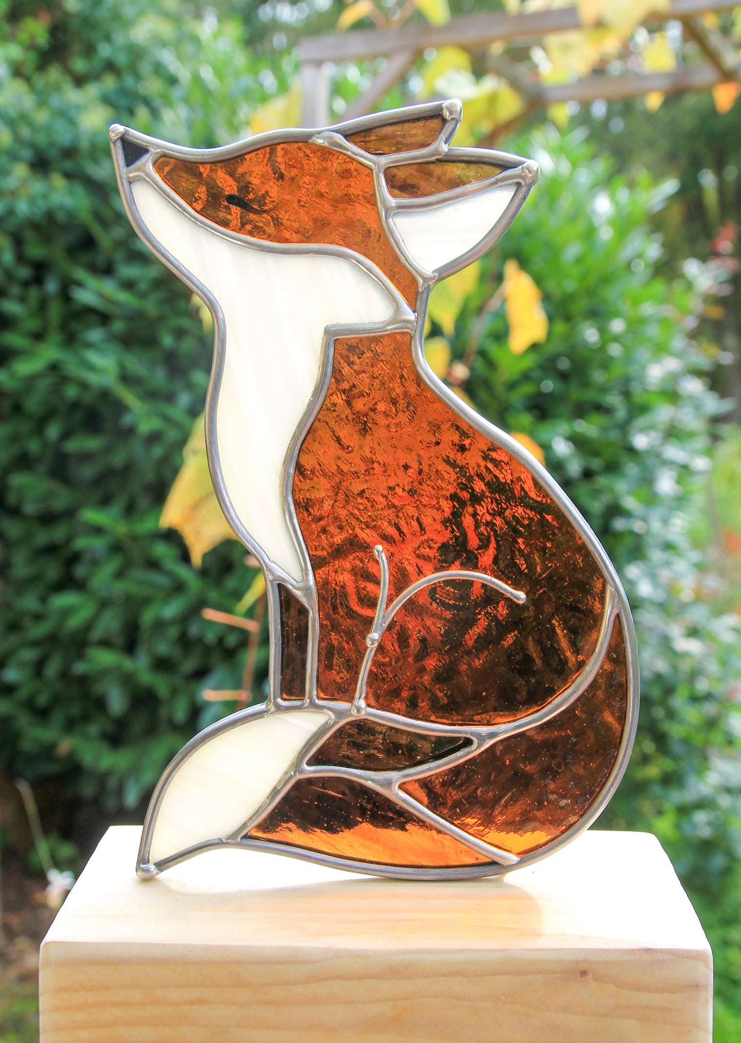 Gaston le renard qui rêve d’horizons