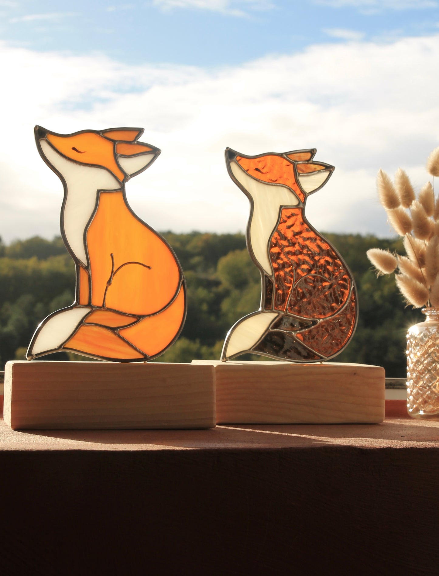 Gaston le renard qui rêve d’horizons